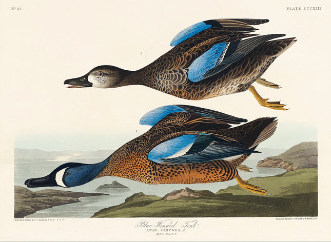 Illustration of two ducks with a landscape background fabric panel