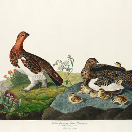 Illustration of a family of birds with chicks on a rock and flowers fabric panel