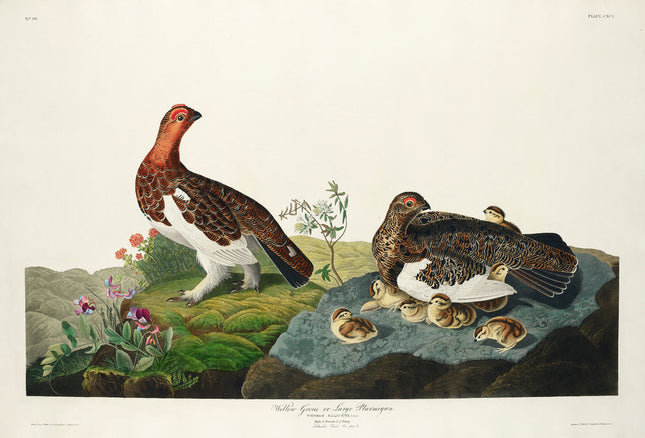 Illustration of a family of birds with chicks on a rock and flowers fabric panel