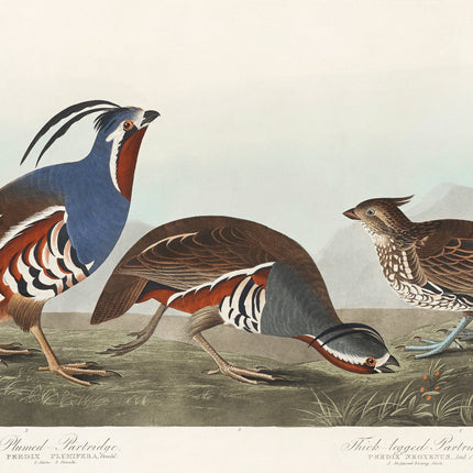 Illustration of three birds fabric panel