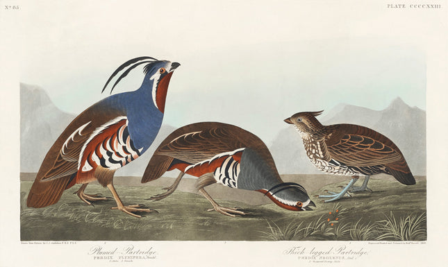Illustration of three birds fabric panel