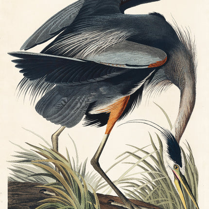 A fabric panel featuring a digitally printed image of a Great Blue Heron bird in a naturalistic setting with trees and water.