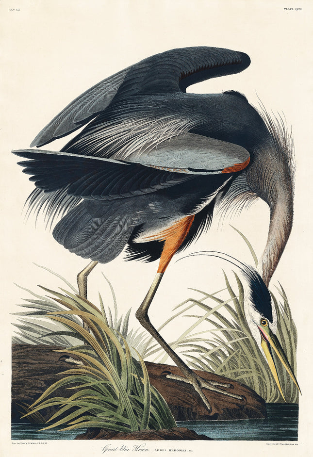 A fabric panel featuring a digitally printed image of a Great Blue Heron bird in a naturalistic setting with trees and water.