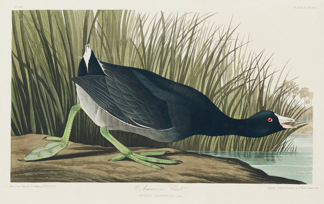 Illustration of a bird standing on a log with grass fabric panel