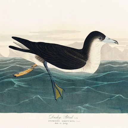 Illustration of a bird on water with a minimalistic background fabric panel