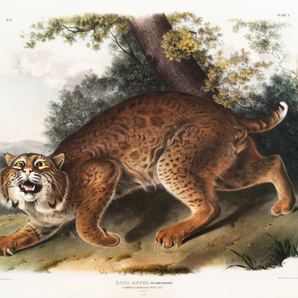 Illustration of a lynx in a natural setting with trees and rocks fabric panel