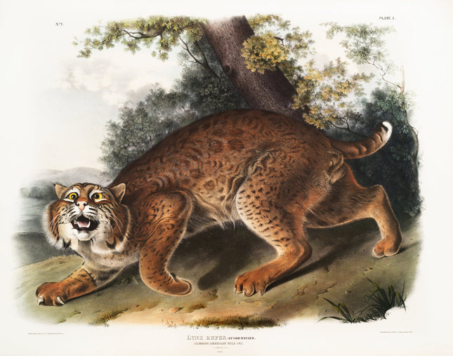 Illustration of a lynx in a natural setting with trees and rocks fabric panel