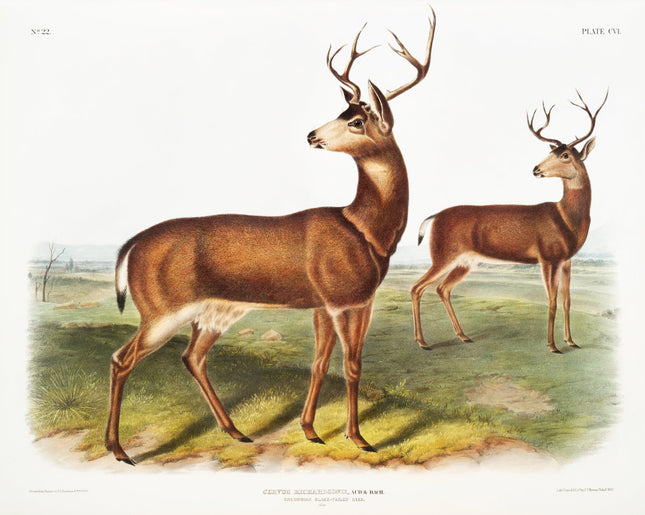 Illustration of two deer on a grassy field fabric panel