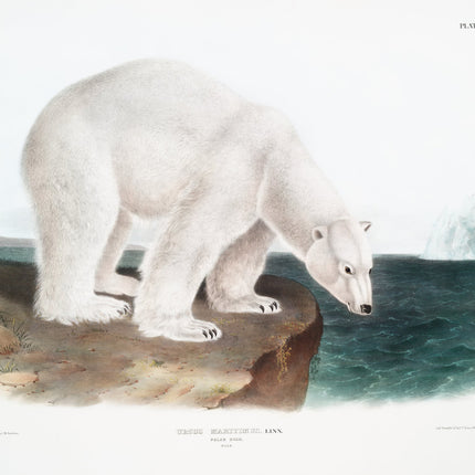 Illustration of a polar bear standing on a rocky shore fabric panel