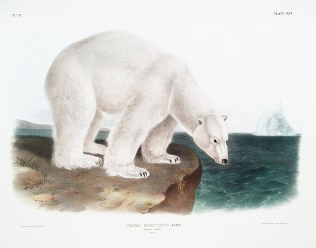 Illustration of a polar bear standing on a rocky shore fabric panel