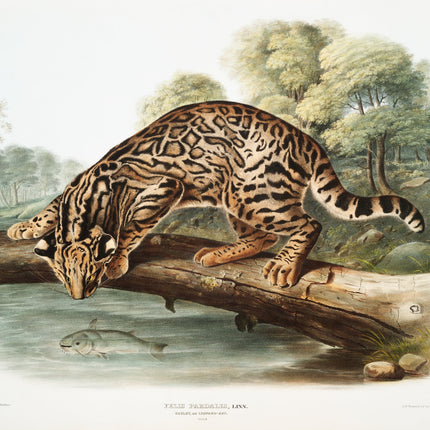 Illustration of a leopard on a log over water with a natural landscape background
