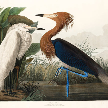 A fabric panel featuring a digital print of John James Audubon's Purple Heron and a white bird, surrounded by a nature backdrop.