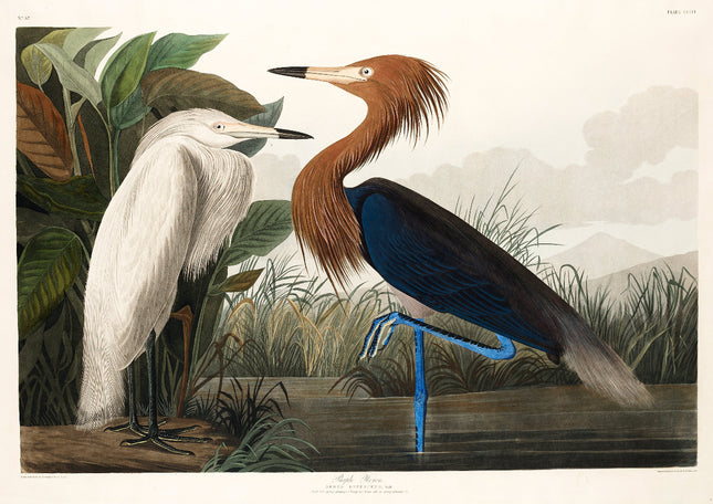 A fabric panel featuring a digital print of John James Audubon's Purple Heron and a white bird, surrounded by a nature backdrop.