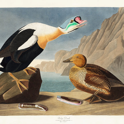 John James Audubon fabric panel