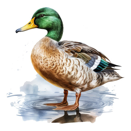 A digitally printed 100% cotton fabric panel featuring a block image of a mallard duck with a green head, brown body, and white and black patterns, standing on water with ripples around it.