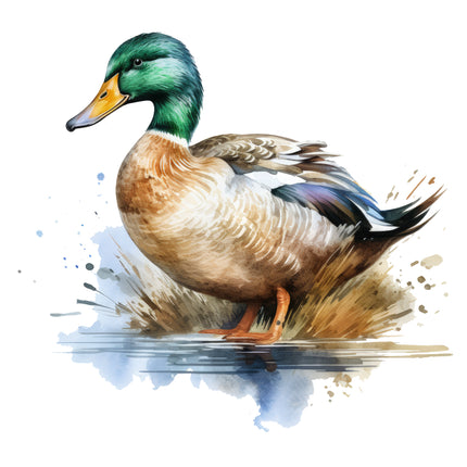 Duck 100% Cotton Fabric Panel Block M378