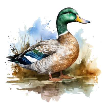A digitally printed 100% cotton fabric panel featuring a block image of a mallard duck with a green head, brown body, and blue wings.