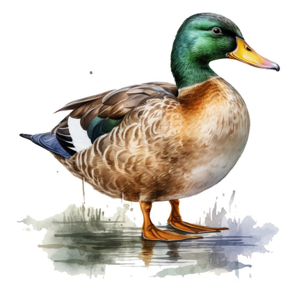 mallard duck quilt panel