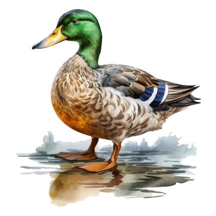 mallard duck standing on water fabric panel