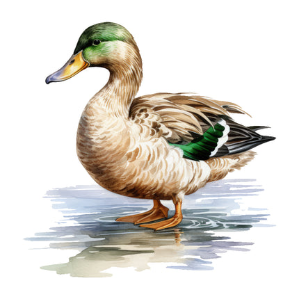 Duck standing on water fabric panel