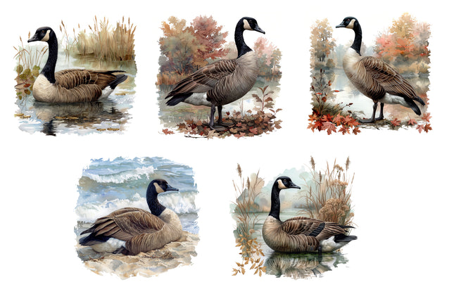 5 Piece 3"x3" Geese 100% Cotton Fabric Panel Squares Quilting Blocks MP129