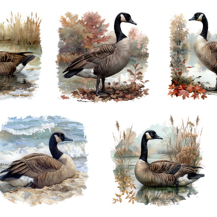 5 Piece 4"x4" Geese 100% Cotton Fabric Panel Squares Quilting Blocks MP129