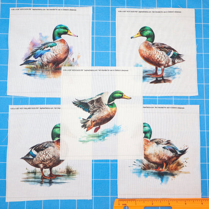5 Piece 4"x4" Ducks 100% Cotton Fabric Panel Squares Quilting Blocks