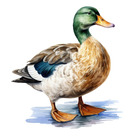 A digitally printed 100% cotton fabric panel featuring a single mallard duck.