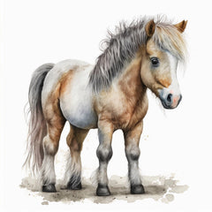 Collection image for: Ponies