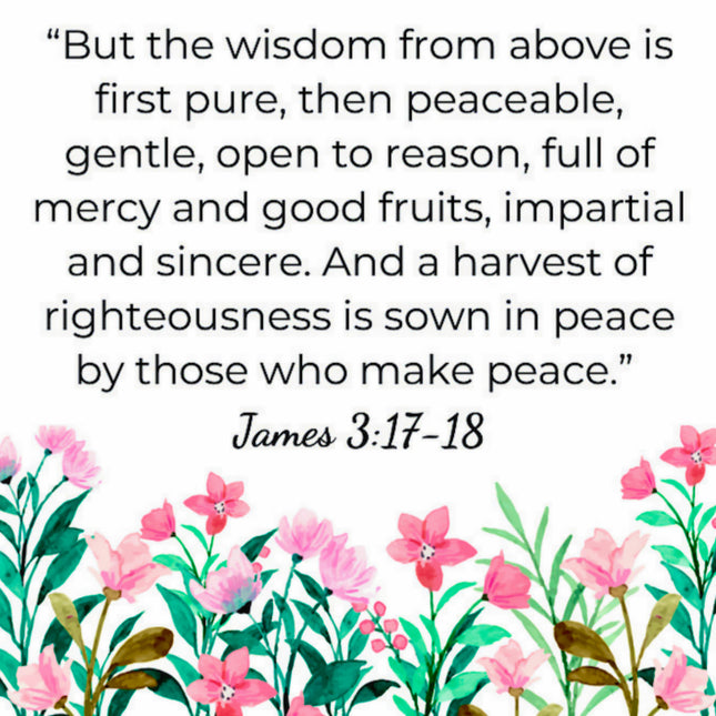 James 3:17-18 Faith Scripture 100% Cotton Fabric Panel Block S299