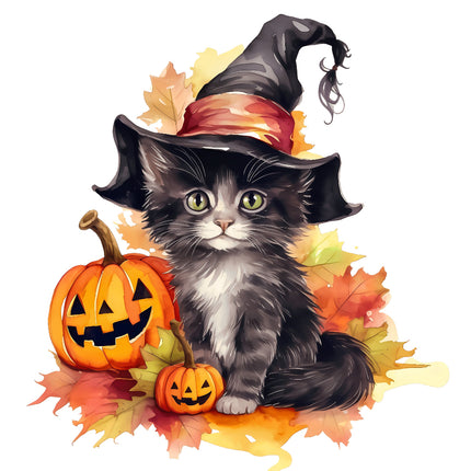 Cat wearing a witch hat with Halloween pumpkins and leaves on a white background