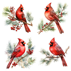 Collection image for: 5" Bundles