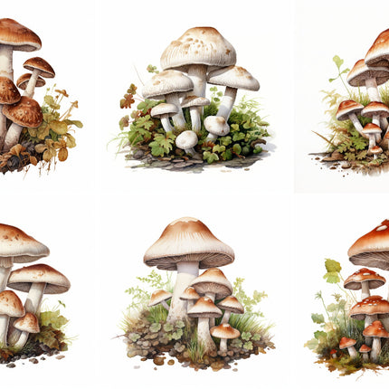 A set of six fabric panels featuring a digital print of mushrooms growing in a natural setting.